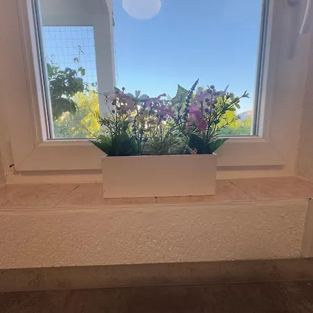 Appartement Bruno Jurandvor