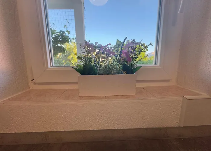 Διαμέρισμα Bruno Jurandvor